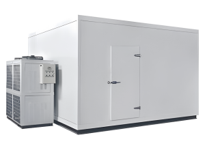 Low Temperature Cold Storage