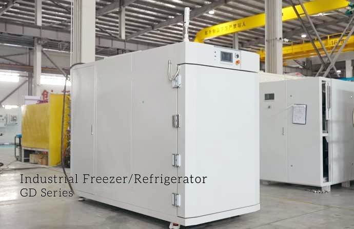 Congelatore industriale serie GD